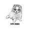 Pomeranian dog. Cute puppy. Black and white hand drawing