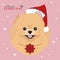 Pomeranian dog with red Santa`s hat and a Christmas ornament