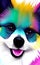 Pomeranian, portrait of a smiling dog in bright colors 1