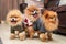 Pomeranian puppy dogs