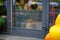 Pomeranian Spitz dog sitting inside flower shop with pumpkins behind glass door. Autumn season.