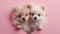 Pomeranian Spitz Puppies Peeking Through Heart-Shaped Hole on Pink Background - Adorable Love and Affection Concept