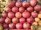 Pomigranate fruit wallpaper background world vegetarians day