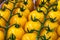 Pomodoro di Pachino yellow, Tomato of Pachino background. Macro