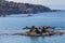 Pomos village seascape and fisherman on an off-shore rock