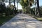Pompei - Viale delle Ginestre verso l`uscita di Piazza Esedra