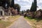 Pompeii garden, Italy. Blossom and spring concept. Ancient roman backyard with trees and flowers. Antique park