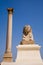 Pompey`s Pillar and sphinx in Alexandria, Egypt