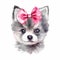 Pomsky Puppy in a Pastel Headband, Bandana, and Glasses AI Generated