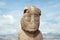 Ponce Stela Monument - Tiwanaku - Bolivia