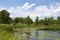 Pond With Algae on a Breezy Day