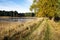 pond with alley of larch