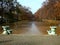 The pond along the alley deciduous trees