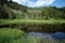 Pond along Skyline Drive Utah