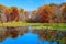 Pond in autumn, yellow leaves, reflection