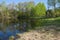 Pond Bank at Edge of Forest in Salem Hills