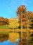 The pond becomes a natural mirror in the sunny fall day