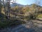 Pond at the beginning of the Sardine Peak Trailhead hike