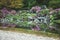 Pond in a blooming Japanese garden