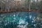 Pond with blue water in Manatee Springs State Park, Florida, US