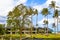 Pond, boat, houses among palm trees