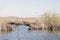 A pond with a broken wooden bridge