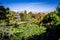 Pond in Buttes-Chaumont Park, Paris