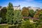 Pond in Buttes-Chaumont Park, Paris