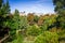 Pond in Buttes-Chaumont Park, Paris