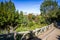 Pond in Buttes-Chaumont Park, Paris