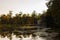 Pond in the Catherine Park of Tsarskoye Selo, view of the Marble Bridge