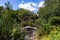 The Pond at Central Park with a view of the Gapstow Bridge during Summer with Green Plants in New York City