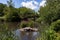 The Pond at Central Park with a view of the Gapstow Bridge during Summer with Green Plants in New York City