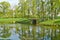 Pond and channels in Tsarskoye Selo park