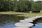 The pond in the city park in summer time, Zelenogradsk, Russia