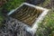 Pond covered with a decorative iron grid