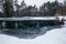 Pond covered with frost at pine forest