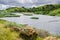 Pond in Coyote Hills Regional Park on a cloudy spring day, east San Francisco bay, California