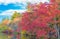 Pond in a delightful autumn.