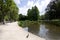 Pond with ducks vondel park amsterdam