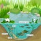 Pond ecosystem and life cycle of fish. Sequence of stages of development of fish from egg to adult animal