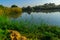 Pond with an elevated pathway, in En Afek nature reserve