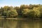 Pond embankment overgrown with tall trees and a walking path near the water, duck on the water surface, reflection, background