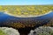 Pond Encircles Wild Flowers at Carrizo Plain National Monument