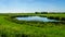 A pond in flat land of a farmers field near the Veluwemeer