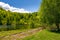 Pond among the forest on fine spring day