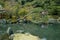 Pond in a formal Japanese garden