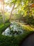 pond and fountain in a garden in Bali Indonesia