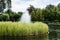 Pond with fountain near bushes, plants and trees