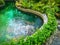 A pond in garden, greenery fern epiphyte plant, tropical shrub and bush under shading of the trees